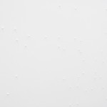 Pins on gallery's east wall awaiting Neff's unfixed prints from Robert Blanchon's Untitled (aroma / 1981)